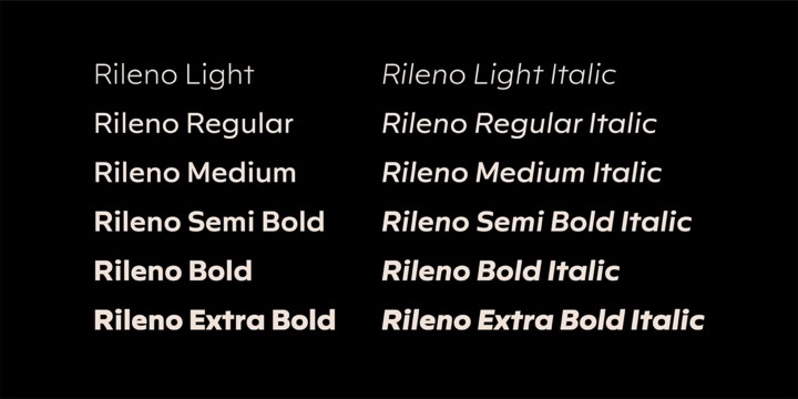 Beispiel einer Rileno Sans Bold-Schriftart